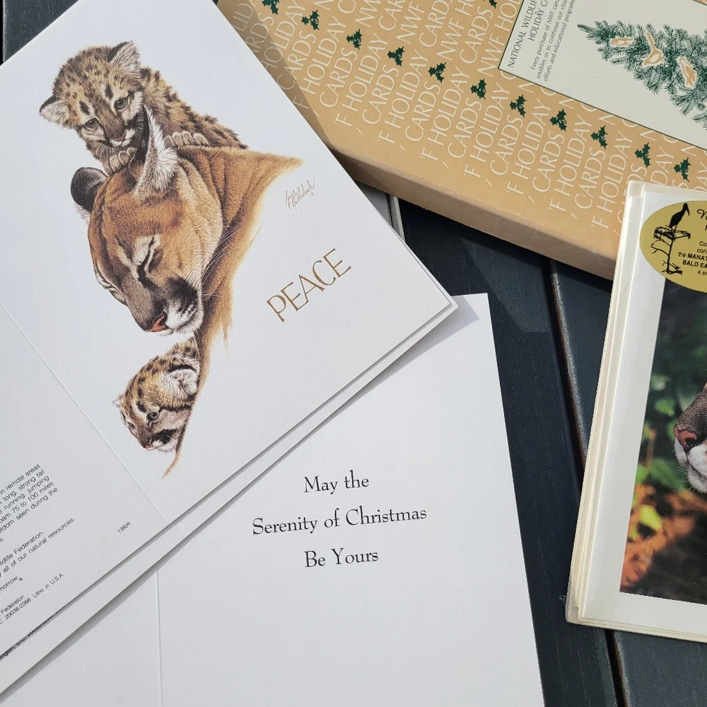 Wildlife Greeting Card Set ~ Christmas ~ Florida Photography ~ Vintage Cards